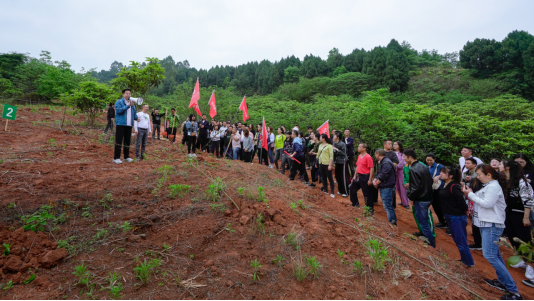 省凯发K8集团开展龙泉山城市森林公园 “包山头”植树活动